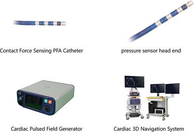 Preclinical evaluation of reversible pulsed electrical field: electrophysiological and histological assessment of myocardium